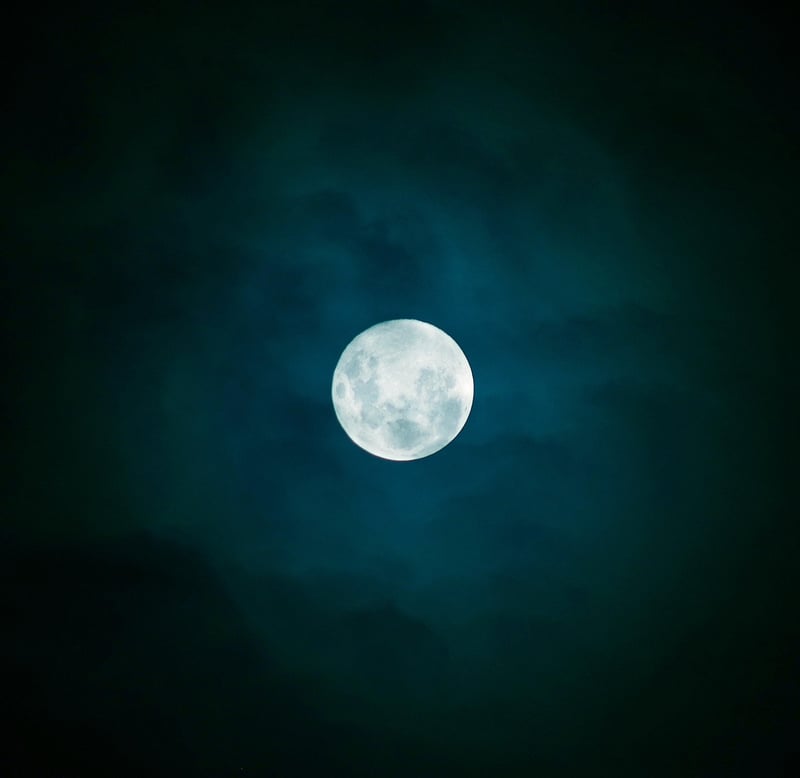 Moonlit Garden