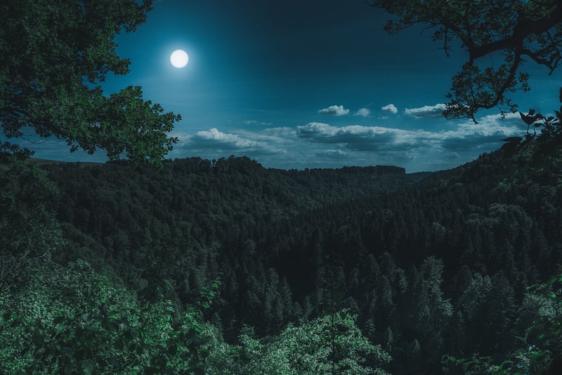 Lunar Lounge